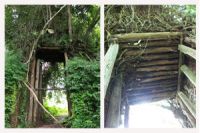 Banyan Tree Gate and Noen Wong Fortress